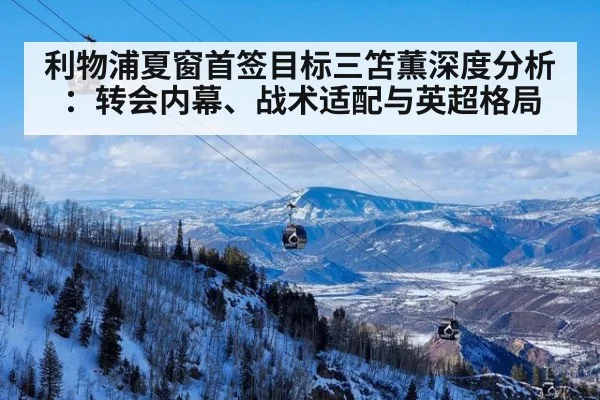 利物浦夏窗首签目标三笘薫深度分析:转会内幕、战术适配与英超格局